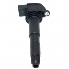 IGNITION COIL 94860210405 948 602 104 05 948 602 104 00 94860210400 948 602 104 01 94860210401 for Porsche Cayenne 